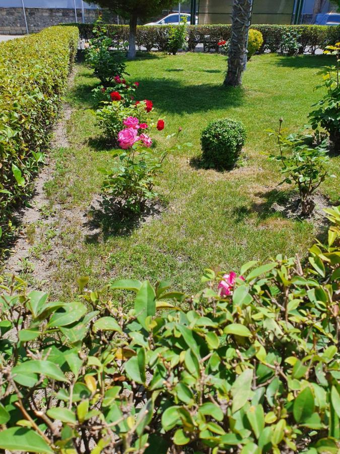 Sheki Avtovagzal Motel Екстериор снимка