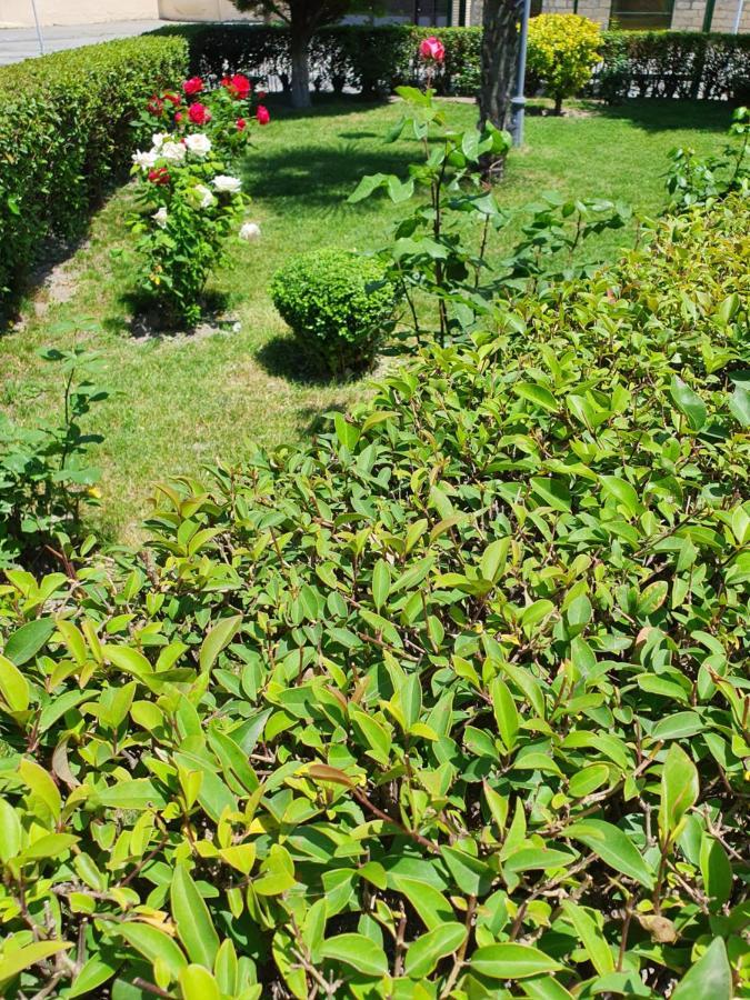Sheki Avtovagzal Motel Екстериор снимка